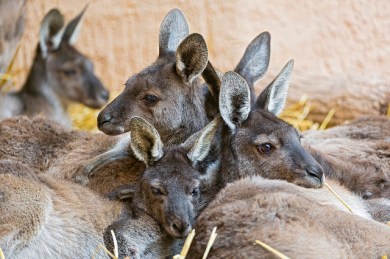 13692860354_3c5e4b1a2f_z